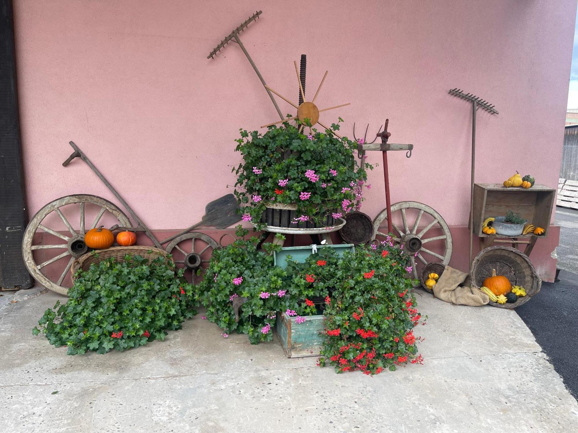 Les Loges De Marianne, Gites D'Exception Proche Europapark Schoenau Exterior photo